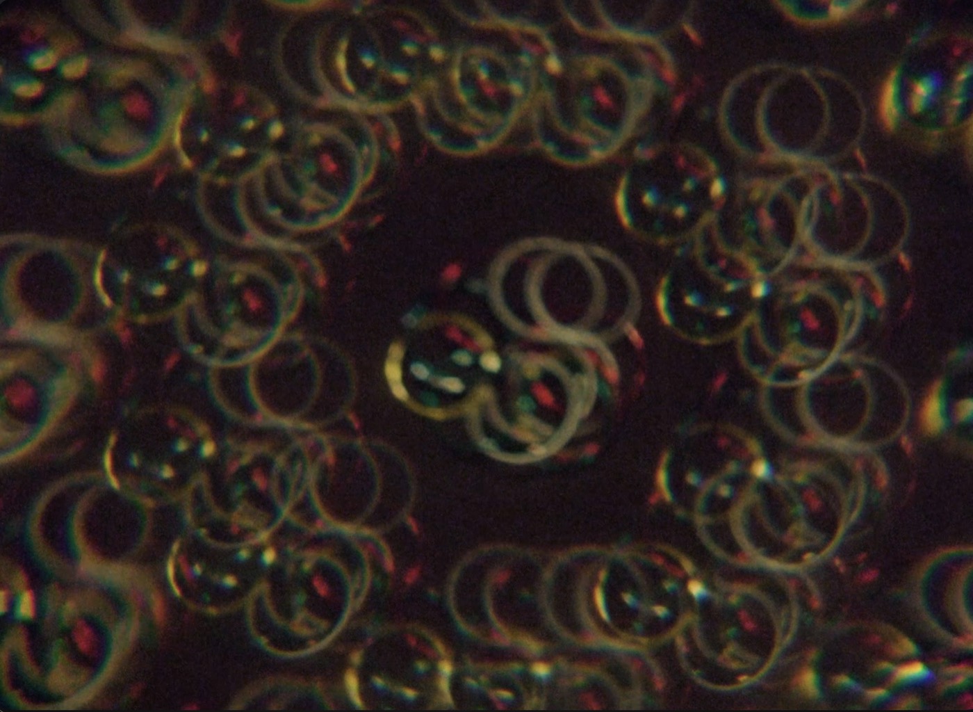 Scans in the quality you need